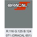 Oracal 651 Grey