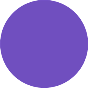 SISER PS Wicked Purple