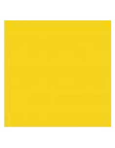 487 Paint Yellow
