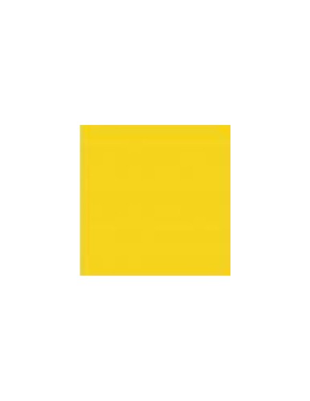 487 Paint Yellow