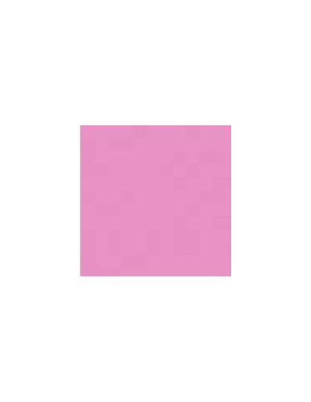 485 Paint Pink